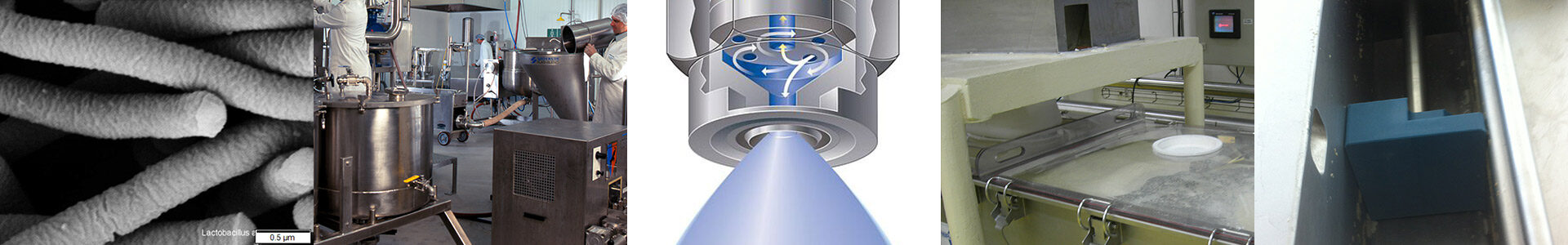 Dienstleistungen / Referenzen Bildband
